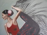Фламенко, фото №3