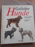 Geliebte Hunde Иллюстрированное издание Любимые Собаки на немецком, фото №2