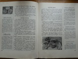 Книга про смачну і корисну їжу (Для всіх, хто хоче навчитися готувати), фото №8
