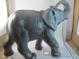 Большой слон, фото №2