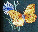 Вышивка "Бабочка-лимонница", фото №3