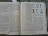 Древнейшая история Волго-Окского междуречья-1972 г-лот 2, фото №8