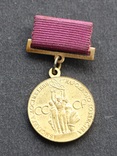 Малая Бронзовая медаль ВДНХ СССР, numer zdjęcia 5