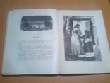  Детгиз Горький М. Сказки об Италии. Рассказы 52 год, фото №9