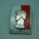 Знак Польша Wzorowy Zolnierz. Классность 3. Отличный Солдат. Тяжелый, эмаль, винт, фото №6