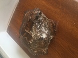 Метеорит Сихотэ-Алинь, фото №3