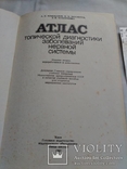 Атлас топической диагностики заболеваний нервной системы., фото №3