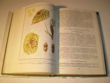 Справочник по защите растений.Для фермеров 1992 год., фото №8