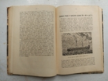 1911 Виппер Р. Учебник древней истории., фото №6