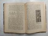 1911 Виппер Р. Учебник древней истории., фото №7