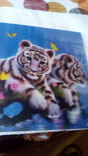 3Д откритка Тигрята, фото №2