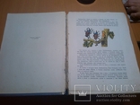 Андерсен Г. Х. Сказки рис. В. Конашевича 1968г. большой формат, фото №5