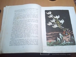 Андерсен Г. Х. Сказки рис. В. Конашевича 1968г. большой формат, фото №13