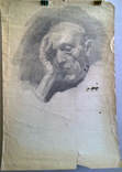 Портрет 59 х 41 Бумага, карандаш 1950-е, фото №2
