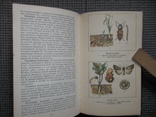 Справочник по защите растений.1989 год., фото №5