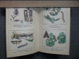 Справочник по защите растений.1989 год., фото №6
