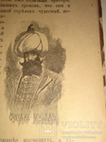 1892 История из Русской Турецкой Молдавской жизни, фото №2
