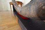 Бивень мамонта 3 метра Украина поздний Плейстоцен （ ~100 тс лет）вес 42 кг, фото 8