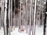 Winter forest. Принт., фото №3