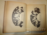 1906 Эллинская культура с хромолитографиями и картами, фото №6