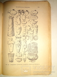 1926 Доисторическое человечество с образцами Вещей, фото №6