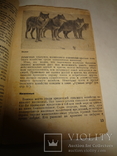 1932 Московский Зоопарк Путеводитель с планом, фото №10