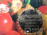 Э. Меджитова. Русская кухня. М. 2001г. 416 с. Подарочное издание., фото №3