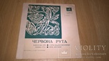 ВИА Червона Рута (Червона Рута) 1975. (LP) 7. Флекси. Цвет Синий. Пластинка, фото №5