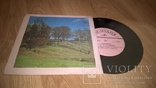 ВИА Самоцветы (Синица) 1974. (LP). 7. Vinyl. Пластинка., фото №3