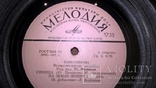 ВИА Самоцветы (Синица) 1974. (LP). 7. Vinyl. Пластинка., фото №7
