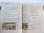 Книга о вкусной и здоровой пище 1979г, фото №5