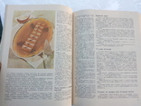 Книга о вкусной и здоровой пище 1979г, фото №6