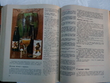 Книга о вкусной и здоровой пище 1979г, фото №10