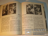 Живая как жизнь.1964 год.Книга для чтения по русской литературе., фото №8