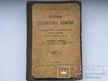 Isoria literaturii romane 1923 История румынской литературы, фото №2