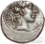 С. Вибий Cf Панса - AR Denarius, 90 г. до н.э, фото №3