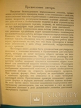 Двигатели внутреннего горения. Стационарные и судовые.1928г., фото №4