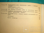 Высшие съедобные базидиомицеты в поверхностной и глубинной культуре., фото №9