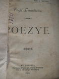 Теофіл Лерантович Поезії 1899р., фото №2