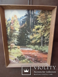 Закарпатьский пейзаж автор Щубелко картина56,5х73,5см оргалит масло, фото №3
