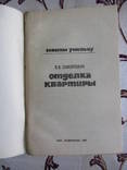 Самойлович В.В. - Отделка квартиры. Советы умельцу, фото №3