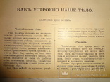 1912 Анатомия для всех, фото №9