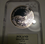 Польша 20 злотых 2002 Черепахи, слаб ECC, фото №4