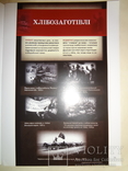 Голодомор Геноцид Украинского Народа, фото №5