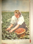 1957 Київ Альманах Ювілейний, фото №11