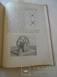 Электротехника Шикарное Издание И. Кнебель до 1917 года, фото №7