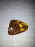 Камень янтарь 15.4грамма, фото №2
