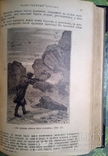 Жюль Верн - Таинственный остров 1897г. Много иллюстраций., фото №13