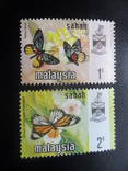 Фауна. Малазия. Сабах. Бабочки.  MNH, фото №2