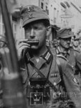 Штатная губная гармоника Вермахта "Militär Musik", фото №9